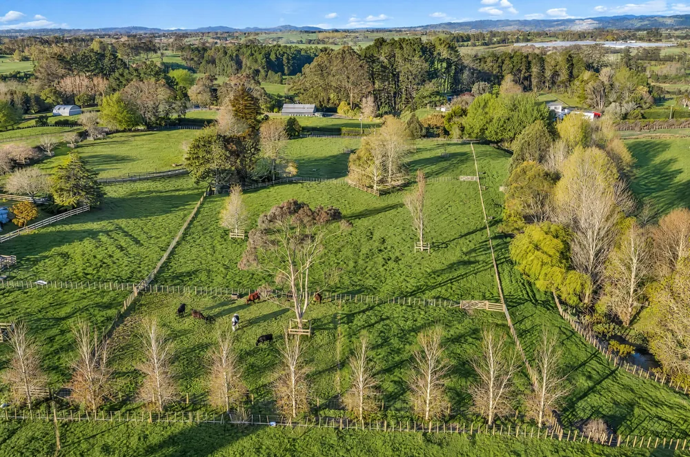 Photos of 68 Bungard Road