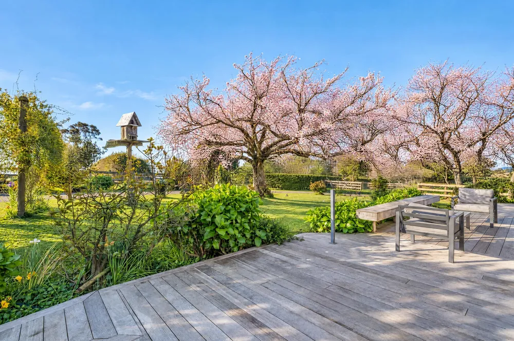 Photos of 68 Bungard Road