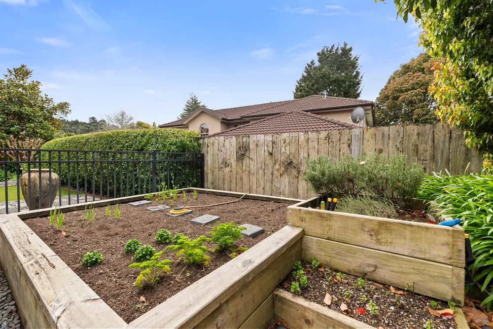 Photos of 11 Summerfield Lane