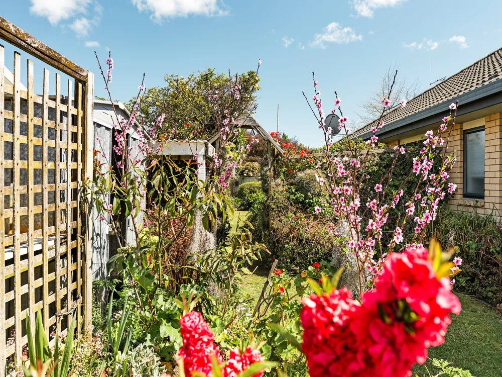 Photos of 2 Luculia Drive