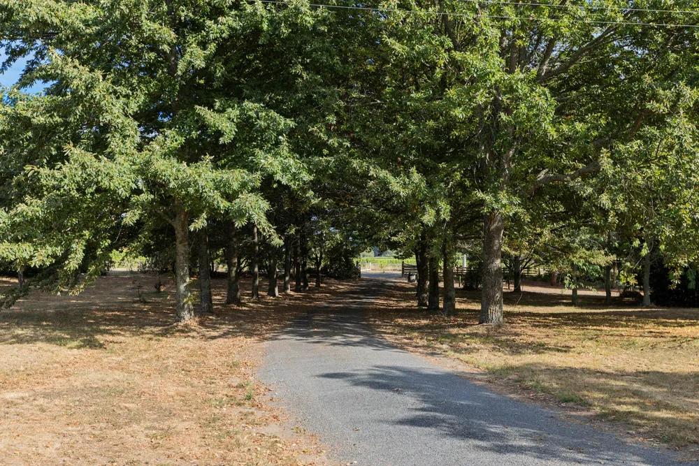 Photos of 51 Brancott Road