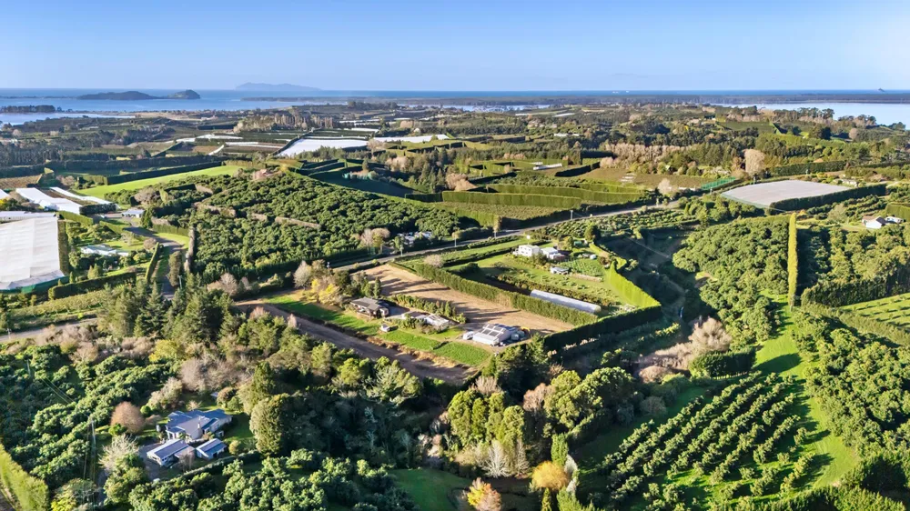 Photos of 124 Kauri Point Road