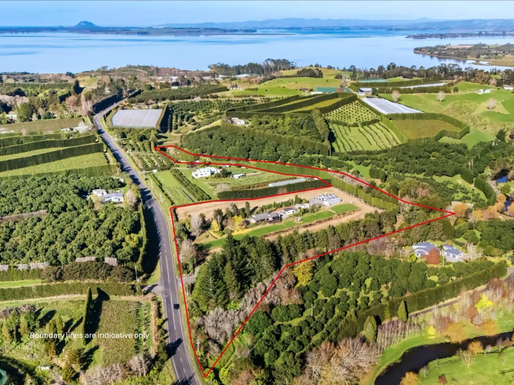 Photos of 124 Kauri Point Road
