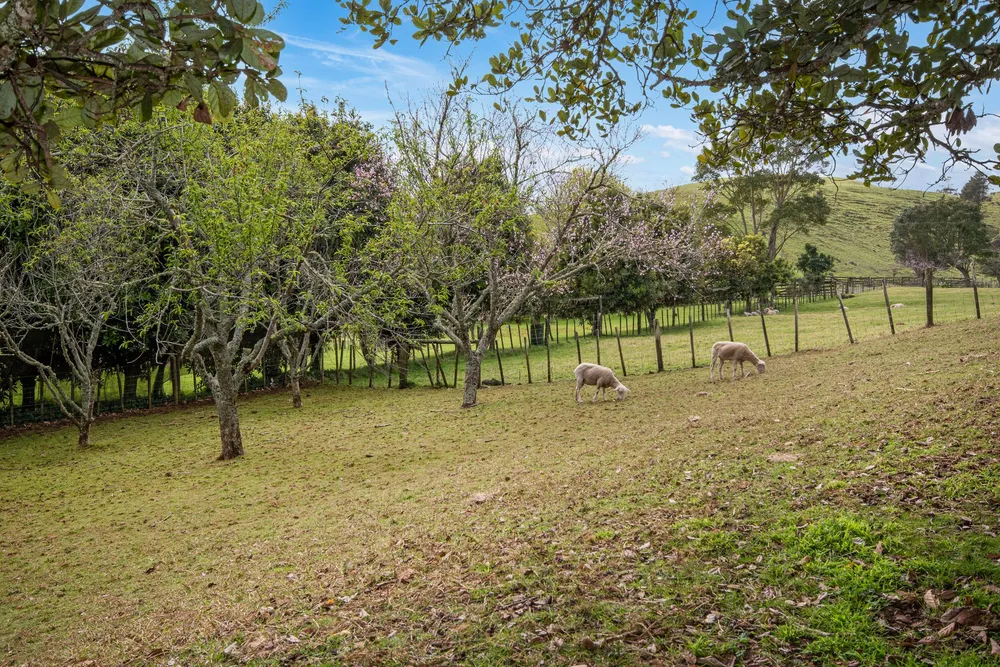 Photos of 68 Kara Road