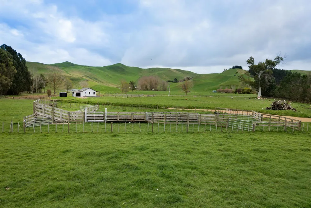 Photos of 533 Raukawa Road