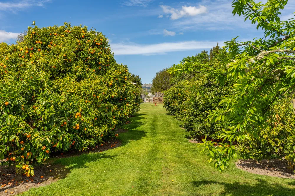Photos of 353 Te Aute Road