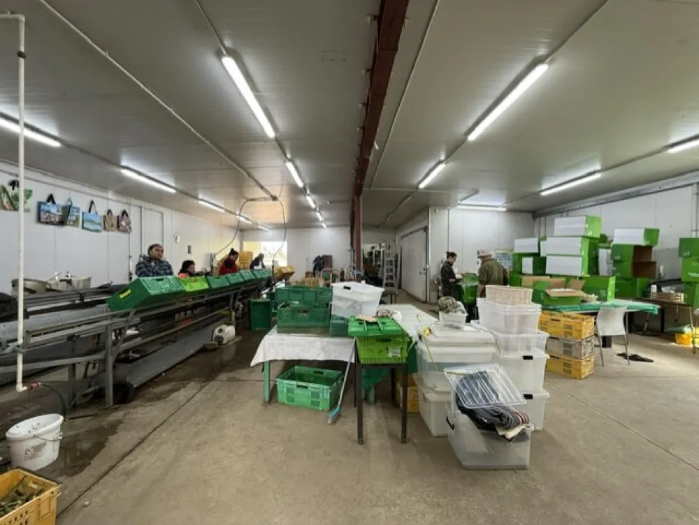 Photos of 473 Bruntwood Road