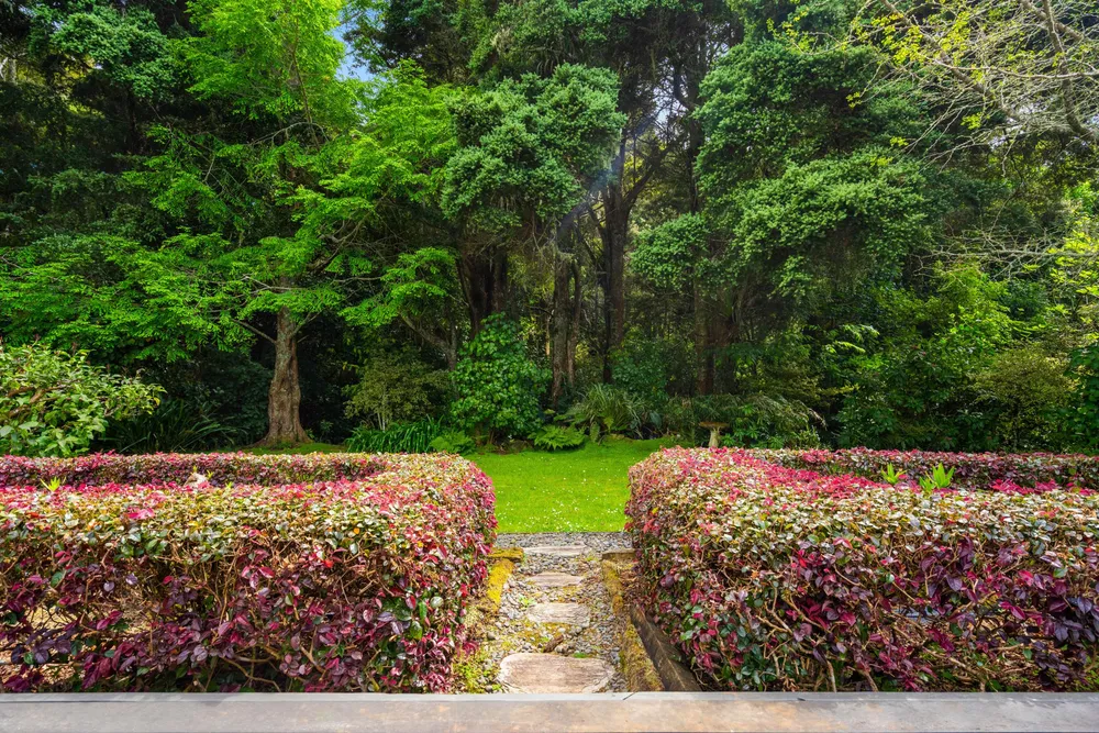 Photos of 55 Highfield Way