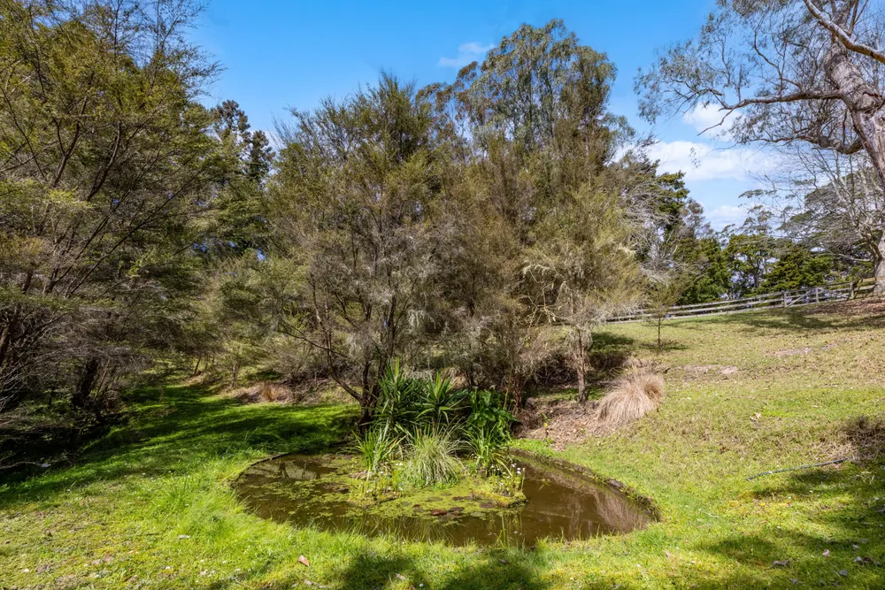 Photos of 25 Wayby Station Road