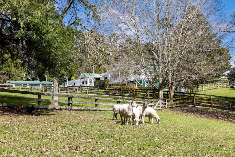 Photos of 25 Wayby Station Road