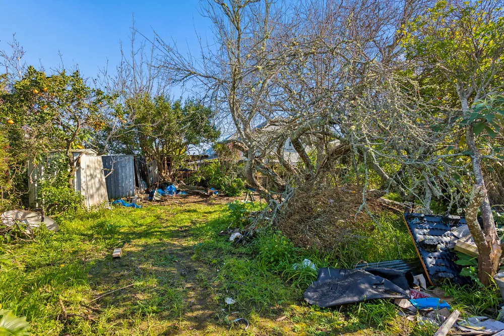 Photos of 20 Holly Street