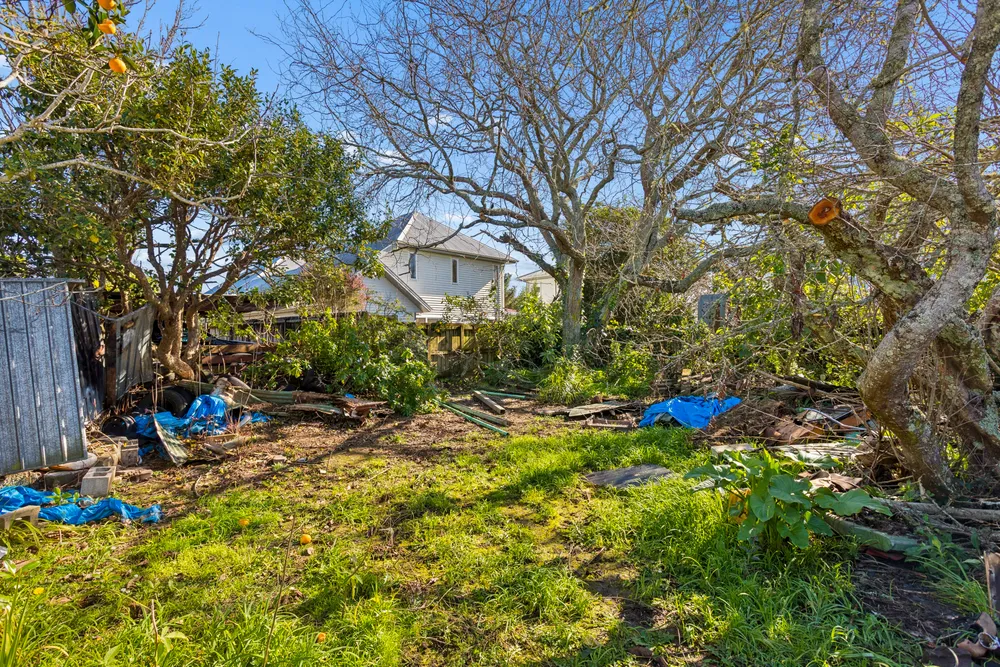 Photos of 20 Holly Street
