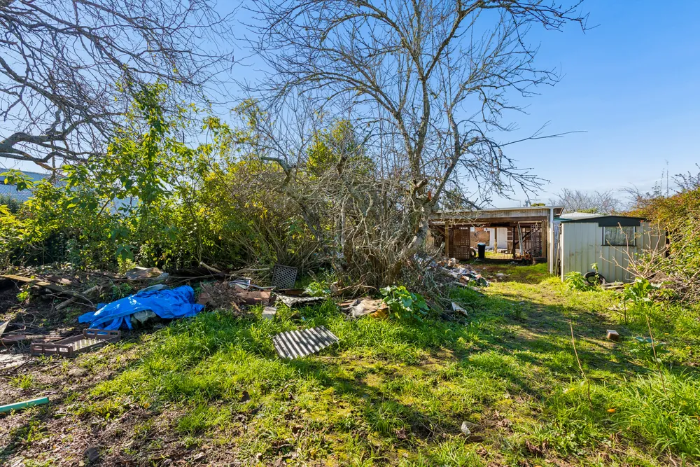 Photos of 20 Holly Street