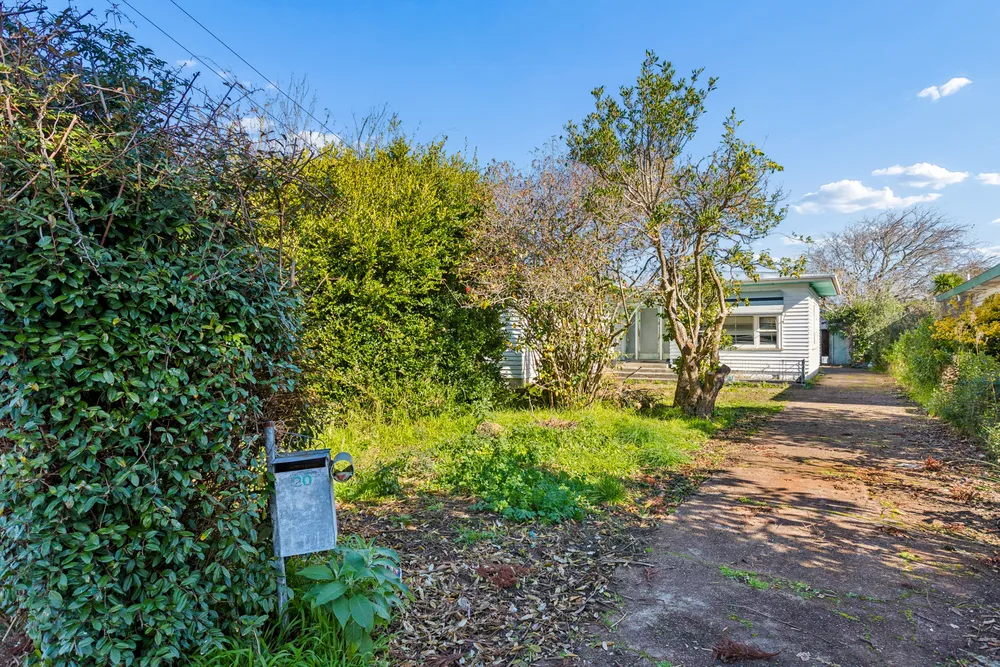 Photos of 20 Holly Street