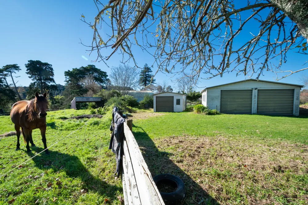 Photos of 290 Henderson Valley Road