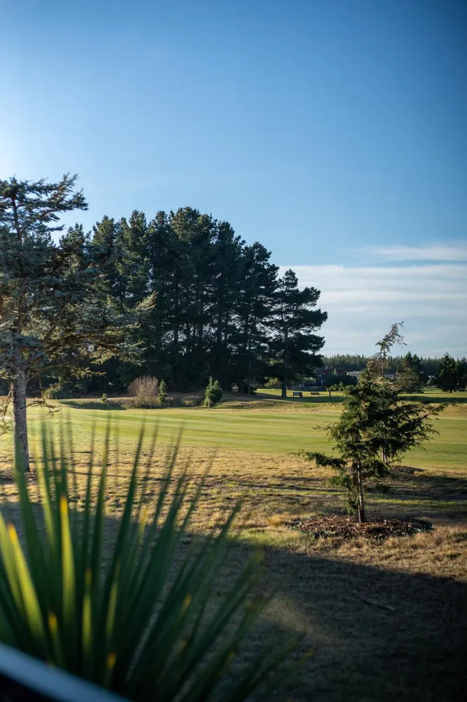 Photos of 488A Bower Avenue