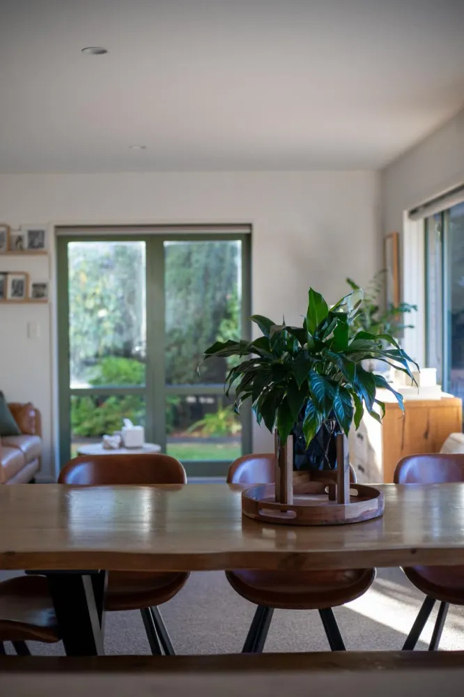 Photos of 488A Bower Avenue