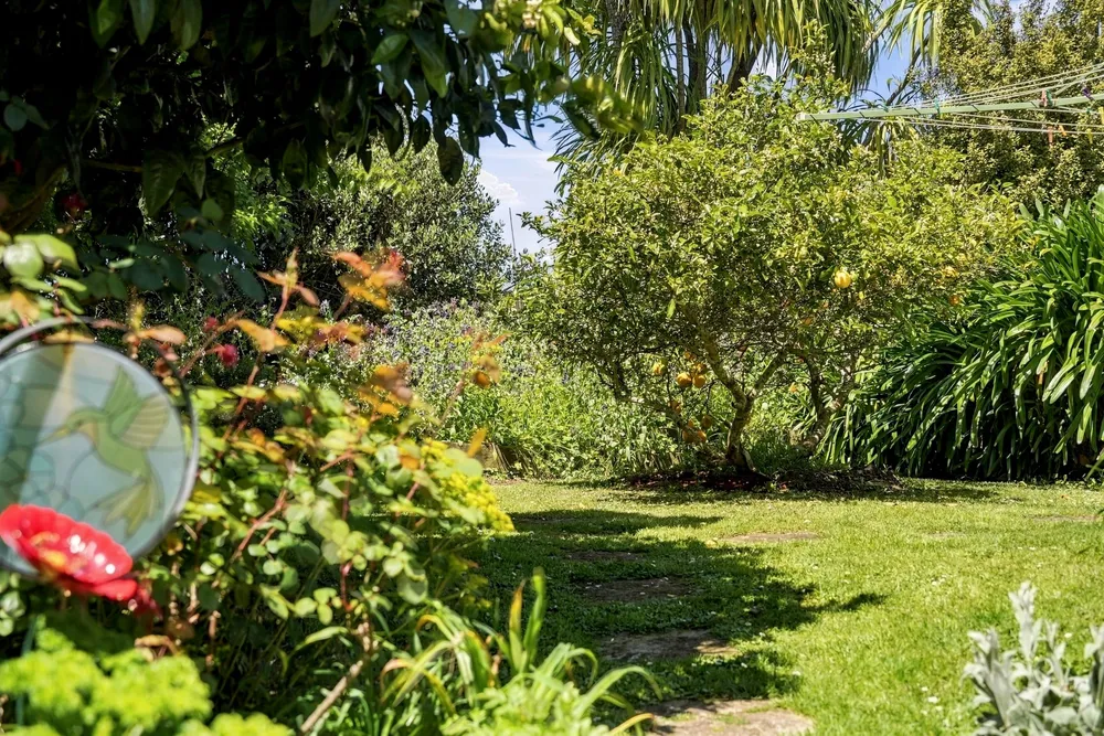 Photos of 46 Kia Ora Road