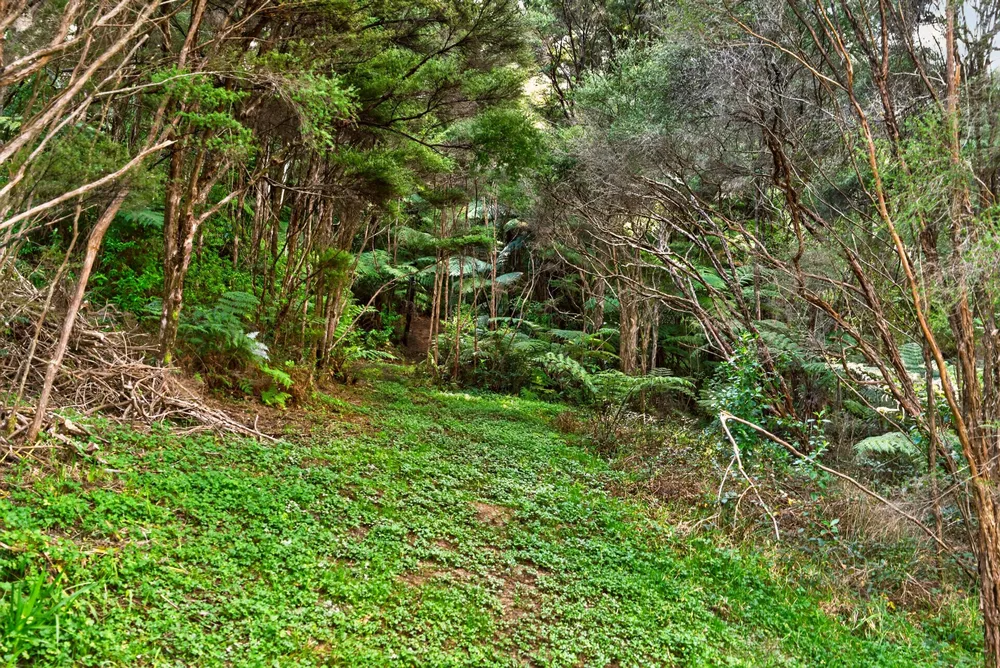 Photos of 641D Ridge Road