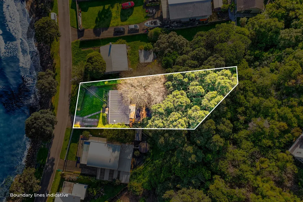 Photos of 62 Matakatia Parade