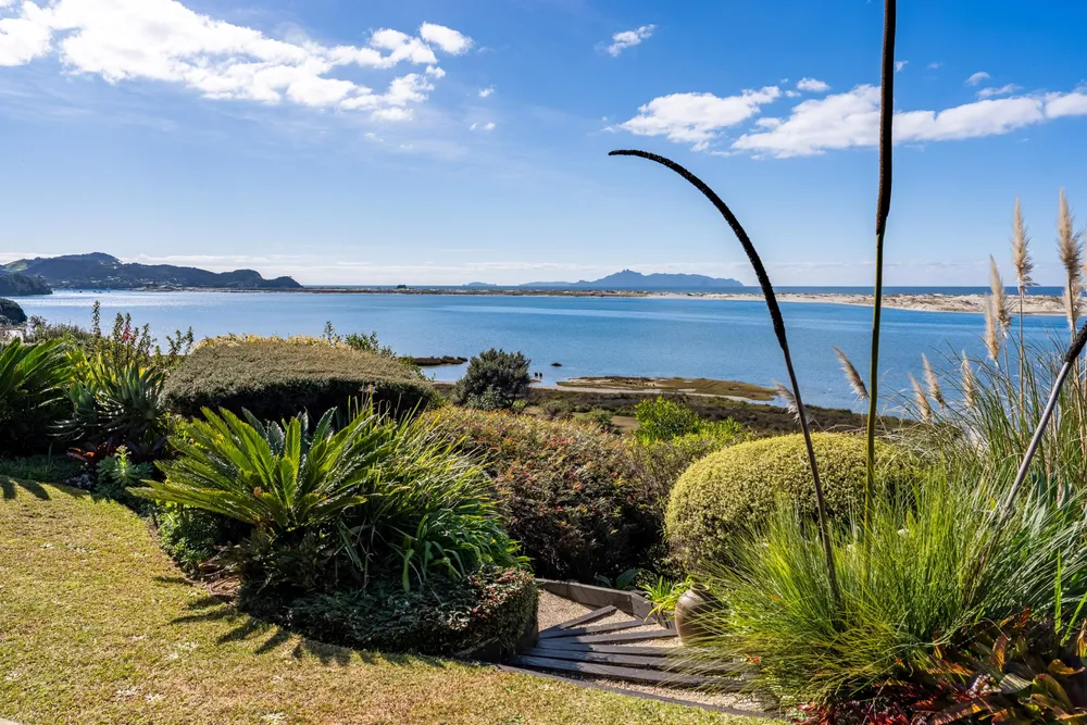 Photos of 59a Cheviot Street
