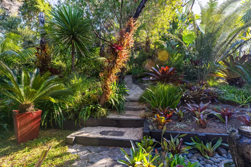 Photos of 59a Cheviot Street