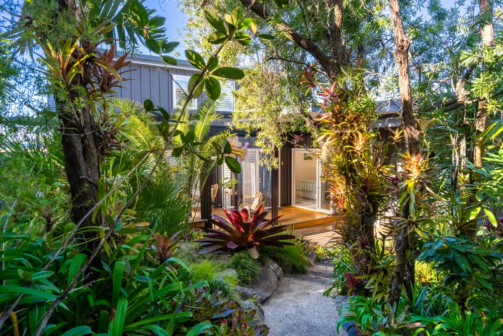 Photos of 59a Cheviot Street