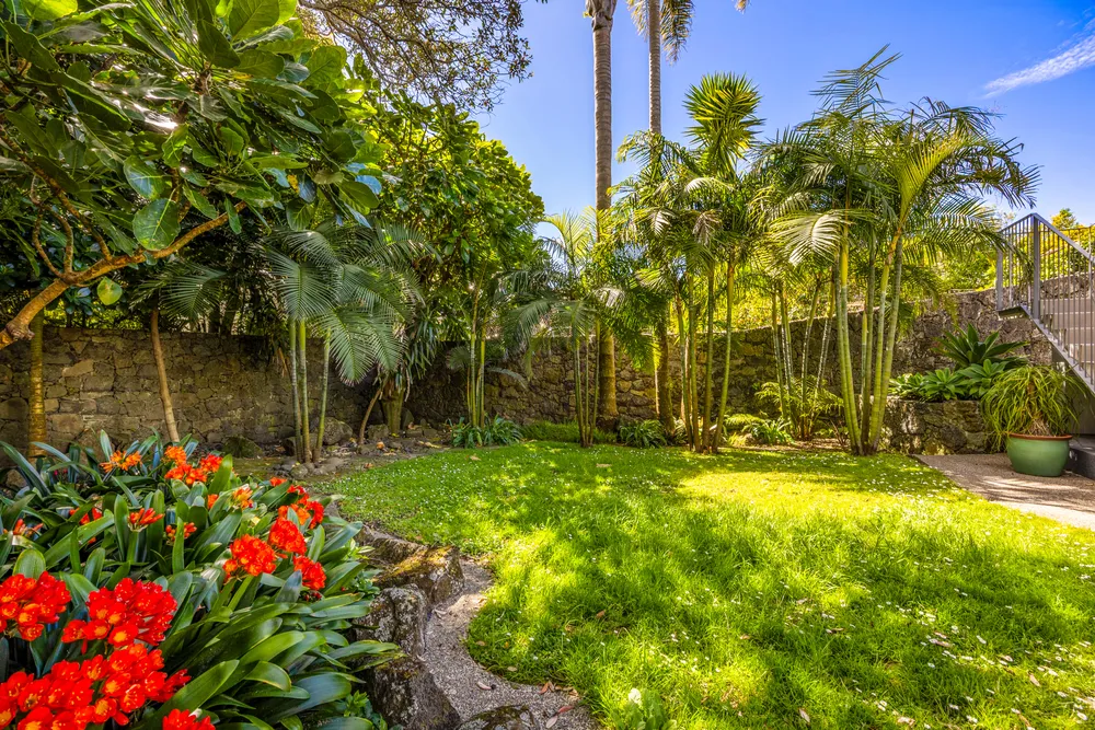 Photos of 113 Peary Road
