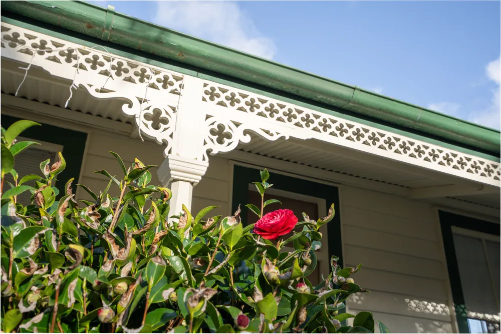 Photos of 6A Norris Street