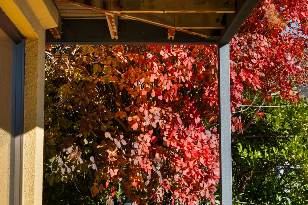 Photos of 68 McDougall Street