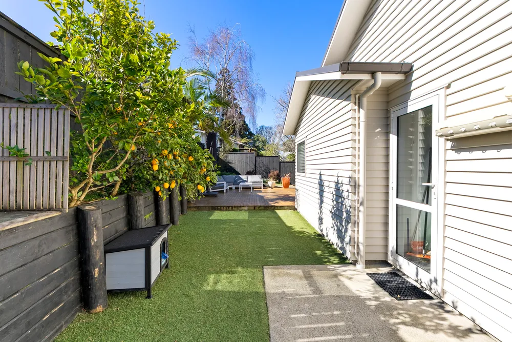 Photos of 22A Channel View Road