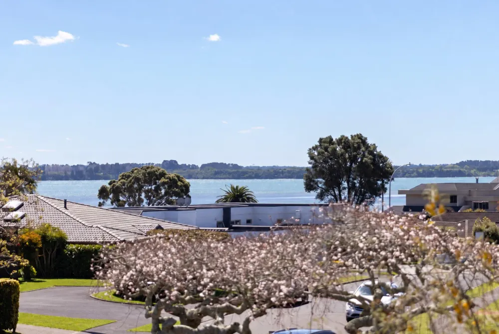 Photos of 151 Manuwai Drive