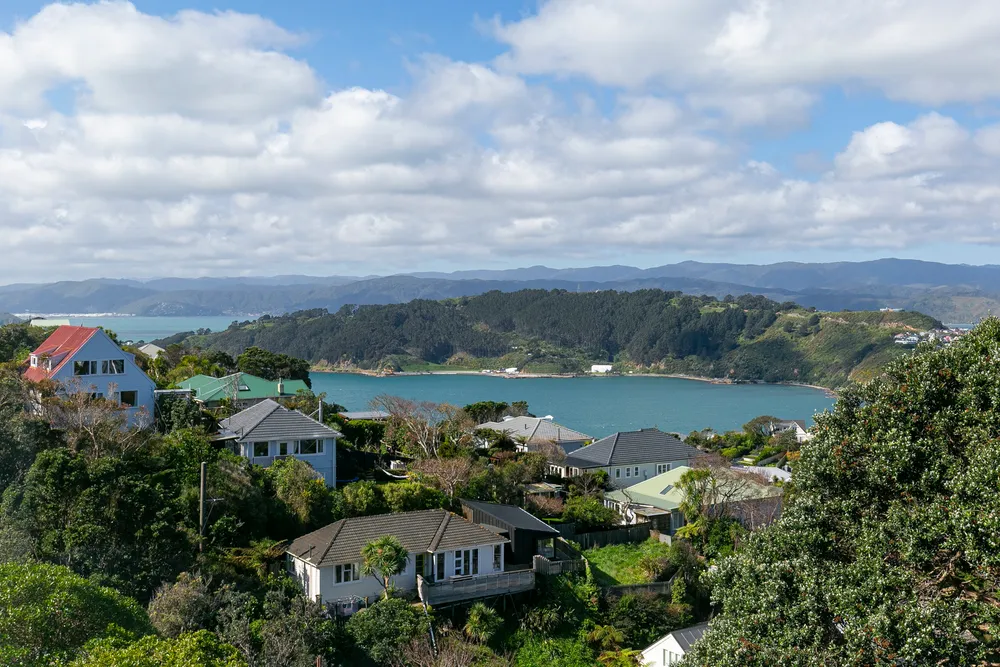 Photos of 57 Marewa Road