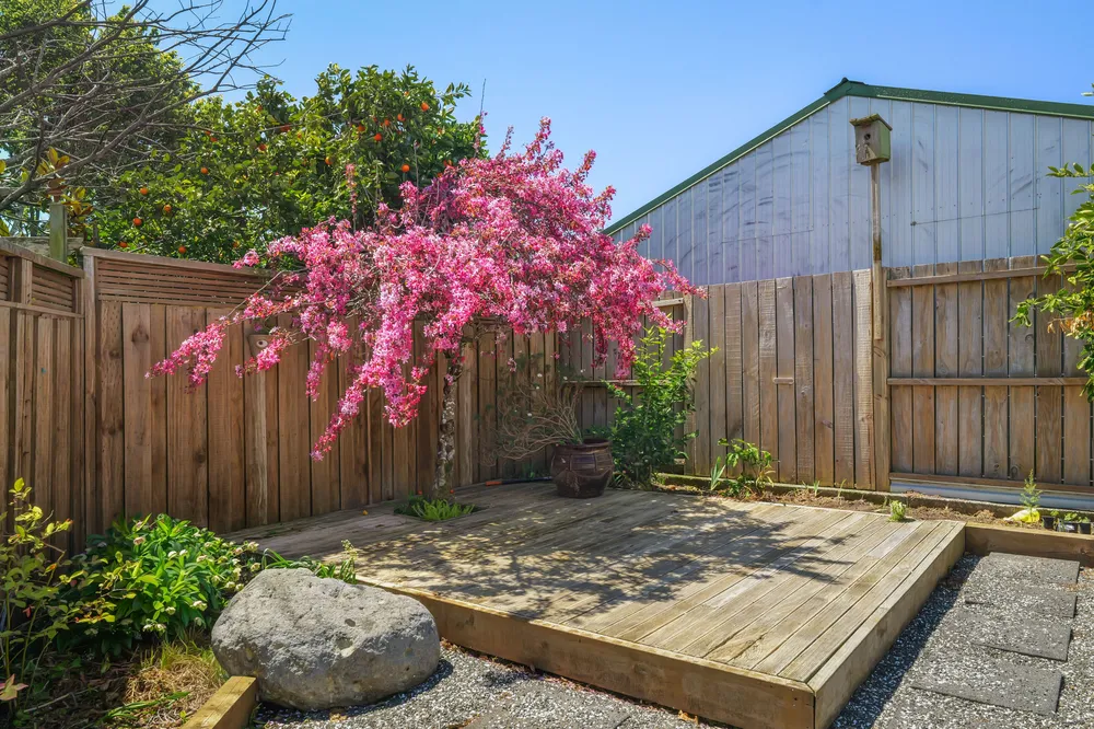 Photos of 124 Wills Road