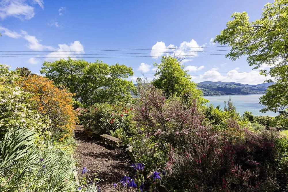 Photos of 6 St Ronans Road