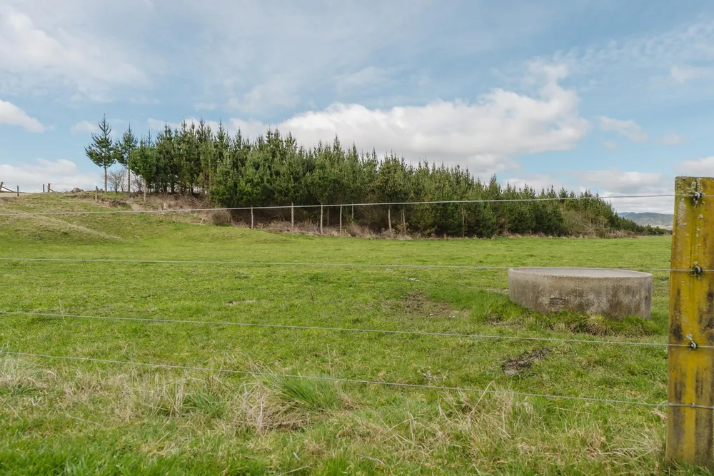 Photos of 60 Whirinaki Road
