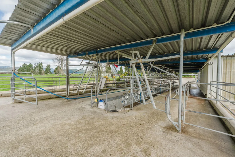 Photos of 60 Whirinaki Road