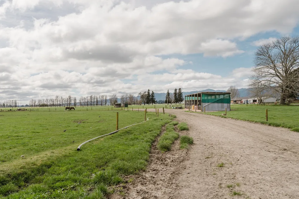 Photos of 60 Whirinaki Road