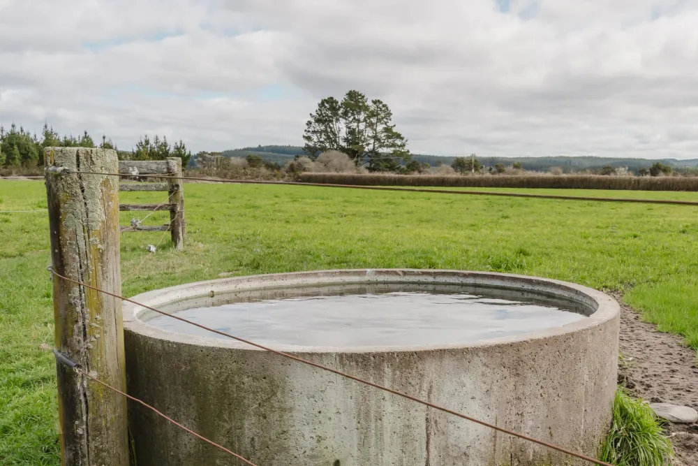 Photos of 60 Whirinaki Road