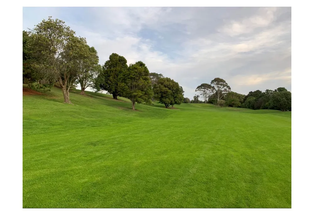 Photos of 179 Norman Lesser Drive