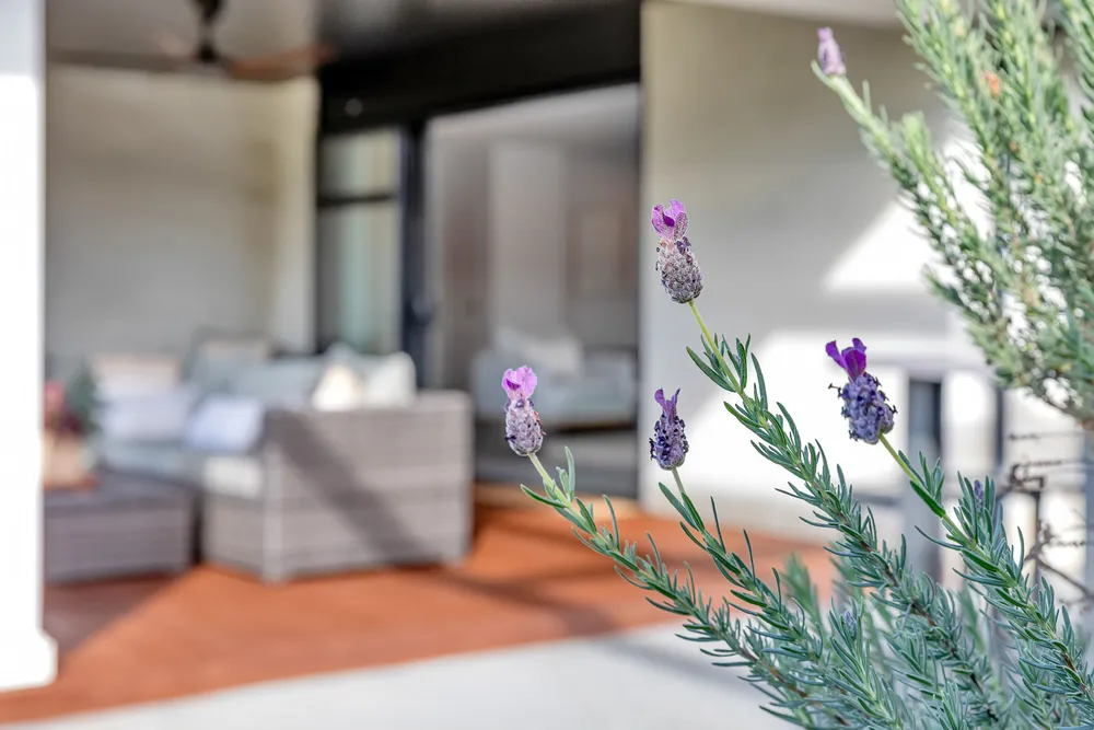 Photos of 10 Sumner Place