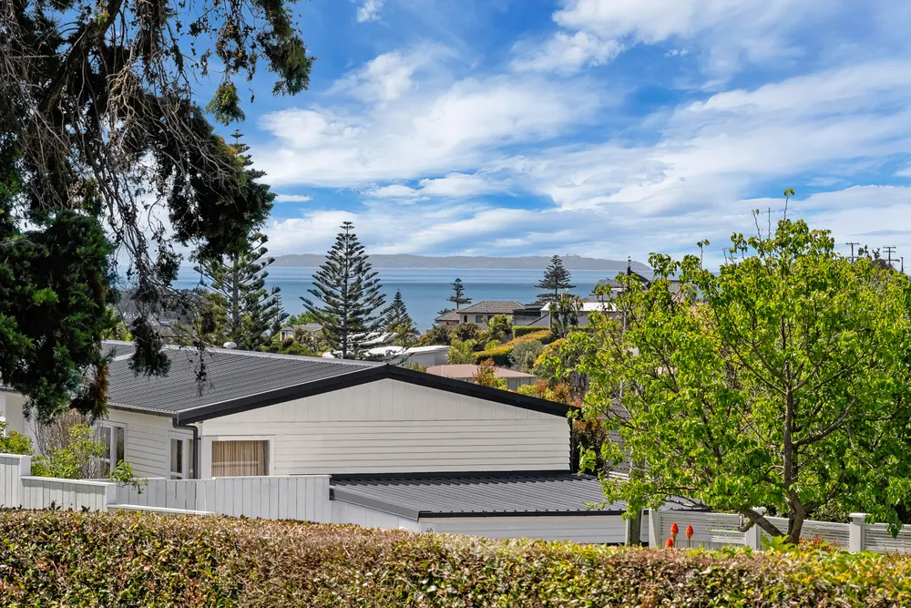 Photos of 49 Matipo Road