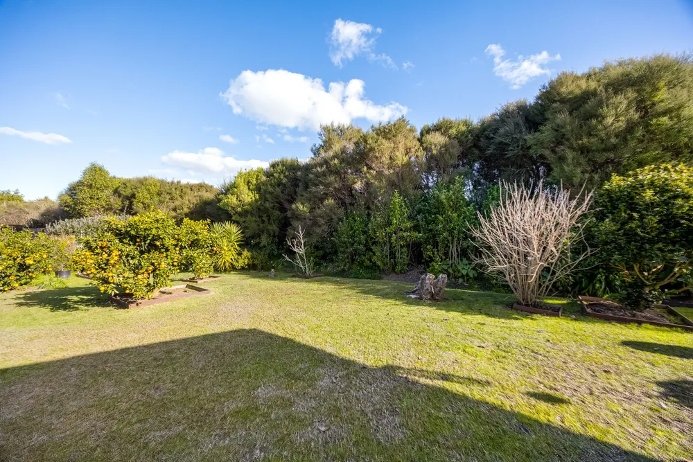 Photos of 3 Albatross Road