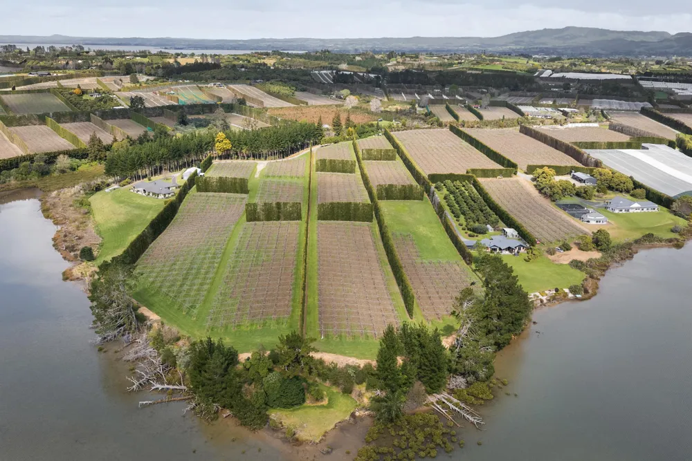 Photos of 195A Tuapiro Road