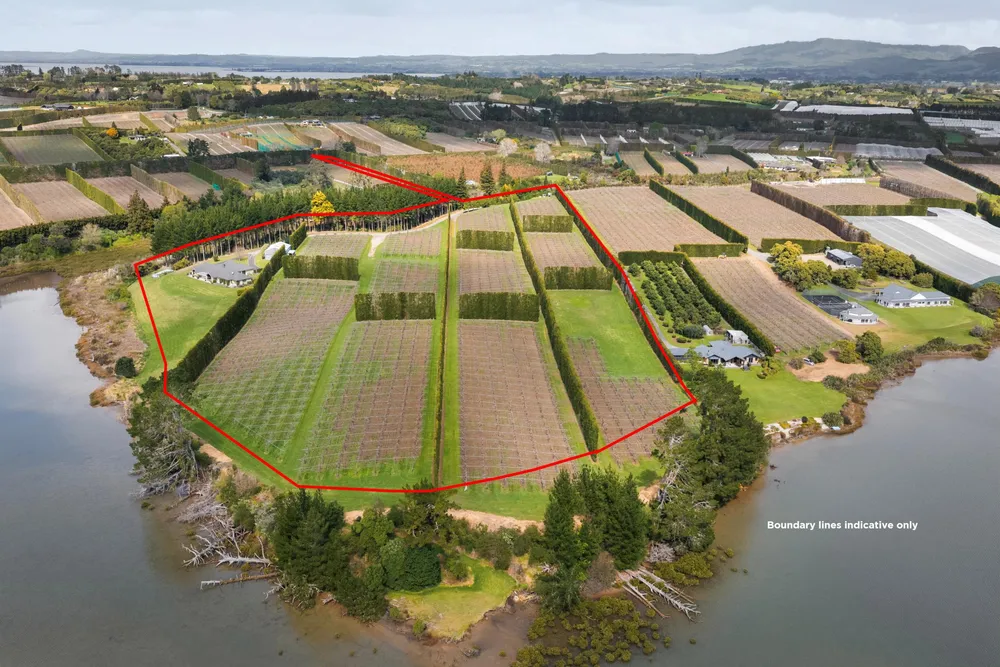 Photos of 195A Tuapiro Road