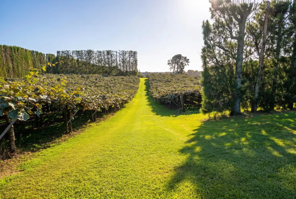 Photos of 195A Tuapiro Road