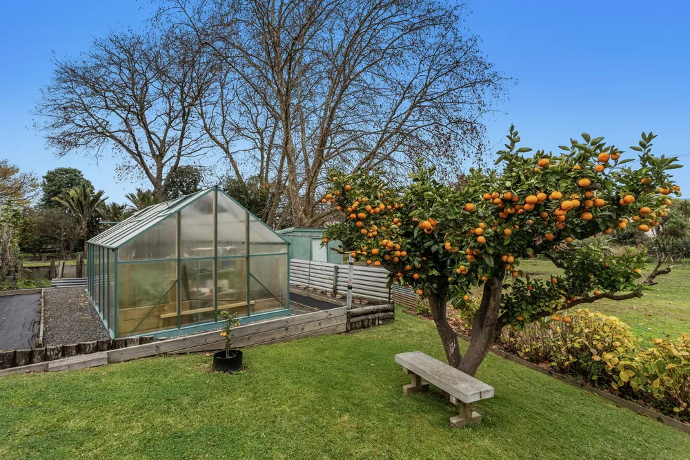 Photos of 11B Strathmore Place