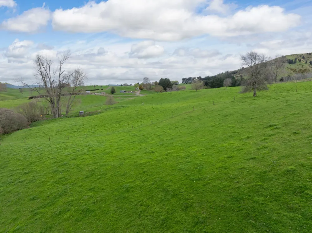 Photos of 703 Bayley Road