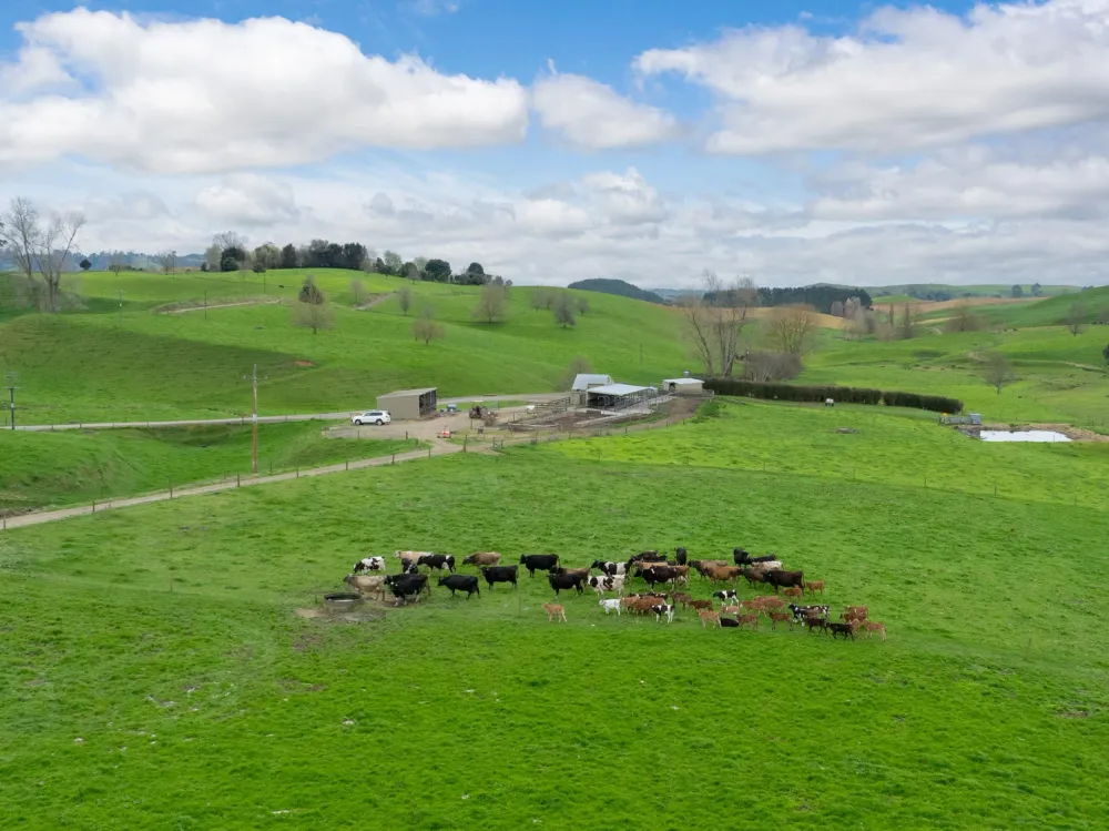 Photo of 703 Bayley Road, Te Awamutu