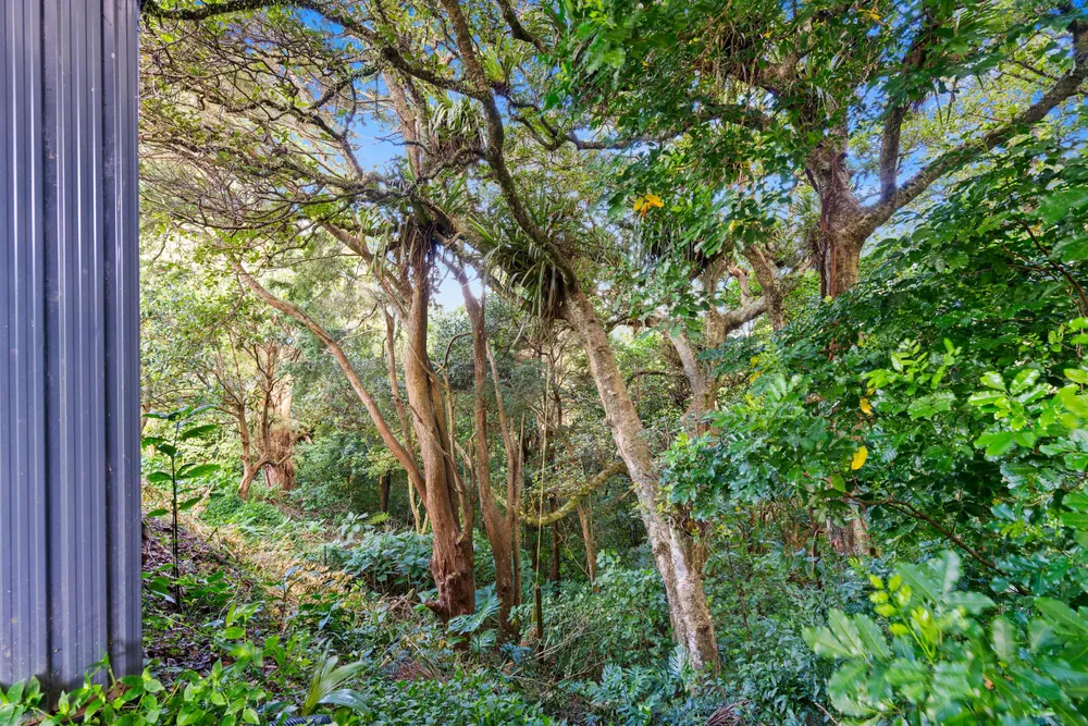Photos of 17 Kotare Crescent